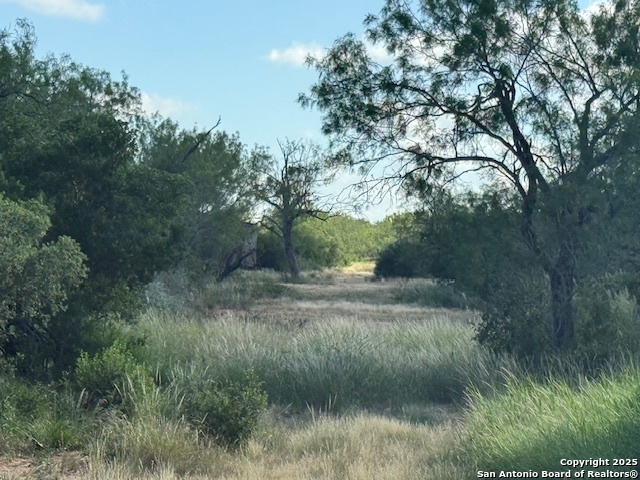0 Los Alamos Road Cotulla, TX 78014 - Photo 21 of 41 a view of a yard