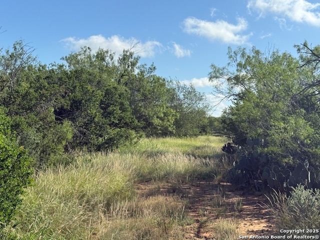 0 Los Alamos Road Cotulla, TX 78014 - Photo 22 of 41 a view of a lake from a yard