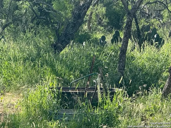 a view of a yard
