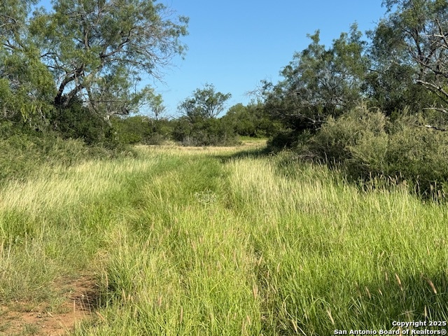 0 Los Alamos Road Cotulla, TX 78014 - Photo 27 of 41 a view of a lush green space near a lake view