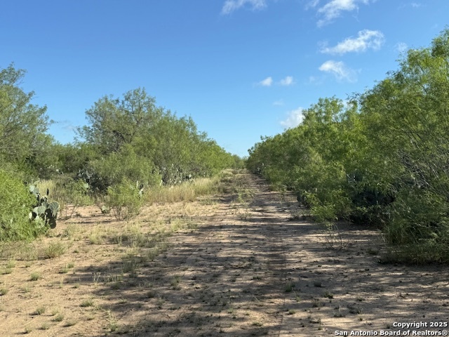 0 Los Alamos Road Cotulla, TX 78014 - Photo 30 of 41 a view of ocean view with large trees