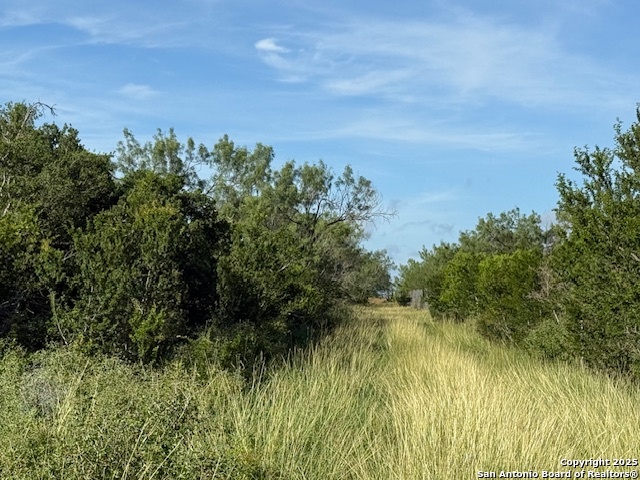 0 Los Alamos Road Cotulla, TX 78014 - Photo 3 of 41 a view of a lake with a yard