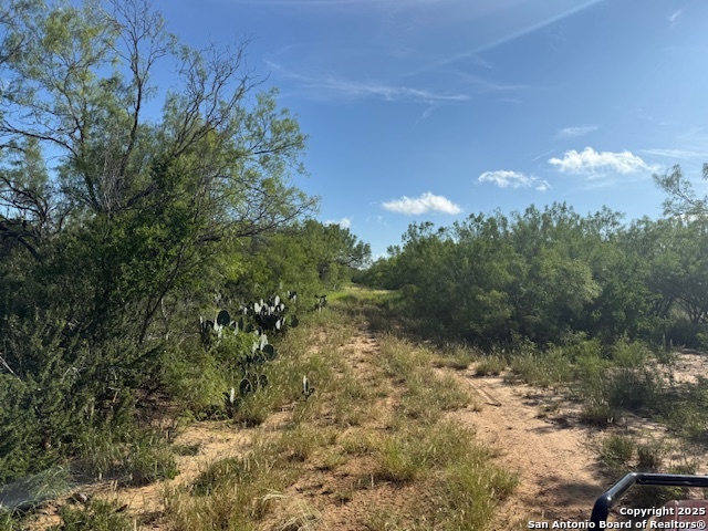 0 Los Alamos Road Cotulla, TX 78014 - Photo 34 of 41 a view of a yard with a tree