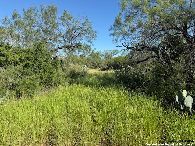 0 Los Alamos Road Cotulla, TX 78014 - Photo 35 of 41 a view of a lush green space