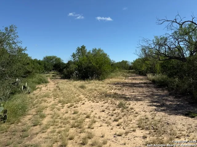$275,000 | 0 Los Alamos Road, Cotulla, TX 78014
