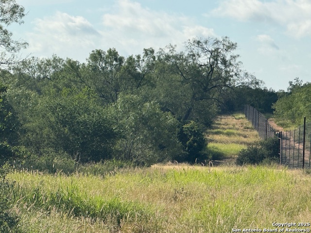 0 Los Alamos Road Cotulla, TX 78014 - Photo 4 of 41