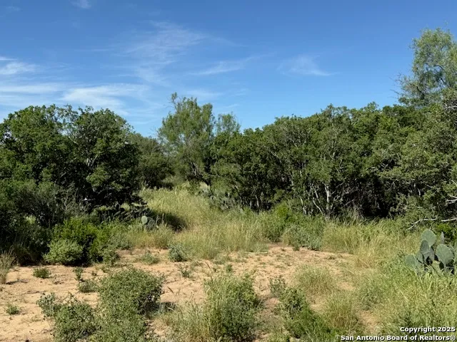 $275,000 | 0 Los Alamos Road, Cotulla, TX 78014