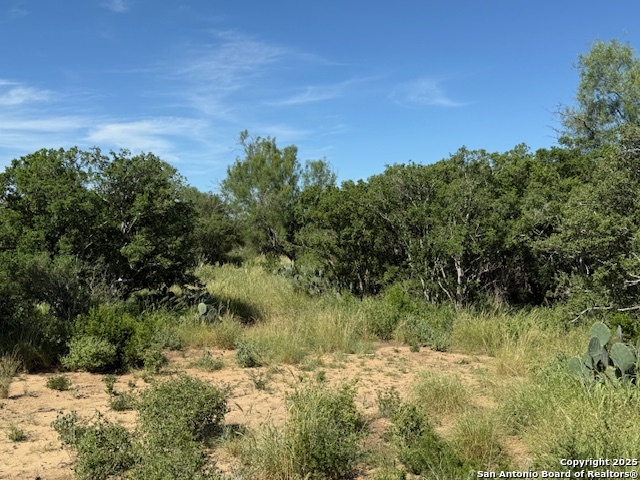 0 Los Alamos Road Cotulla, TX 78014 - Photo 41 of 41 a view of a large yard with lots of green space