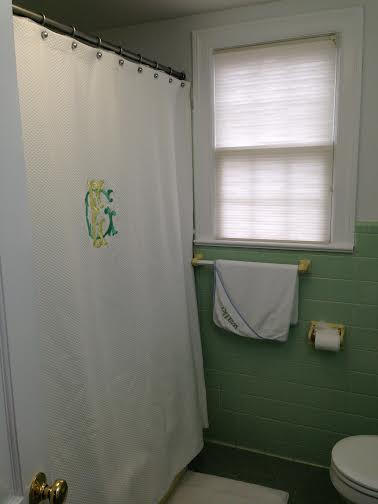 712 Parish Road Charleston, SC 29407 - Photo 17 of 27 upstairs bath curtain