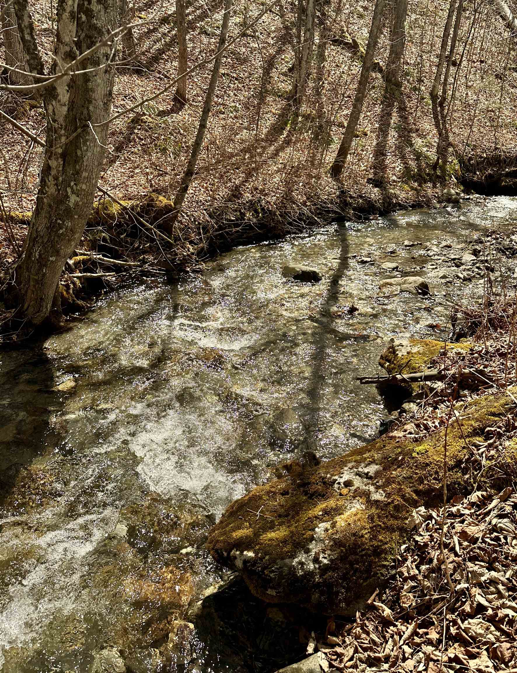 1052 Little Village Road Pawlet, VT 05761 - Photo 49 of 59