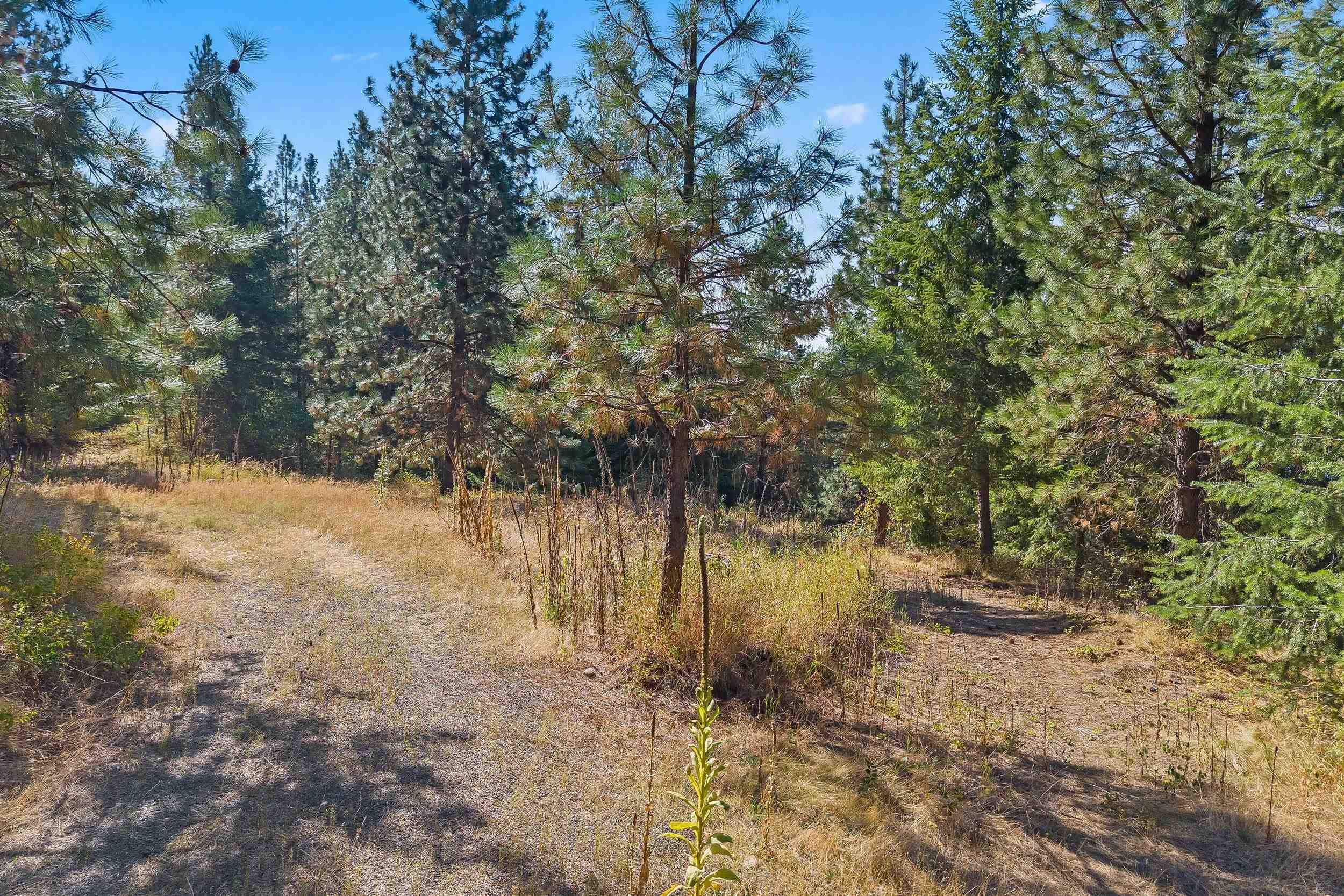 1894 Beach View Way Kettle Falls, WA 99141 - Photo 11 of 27