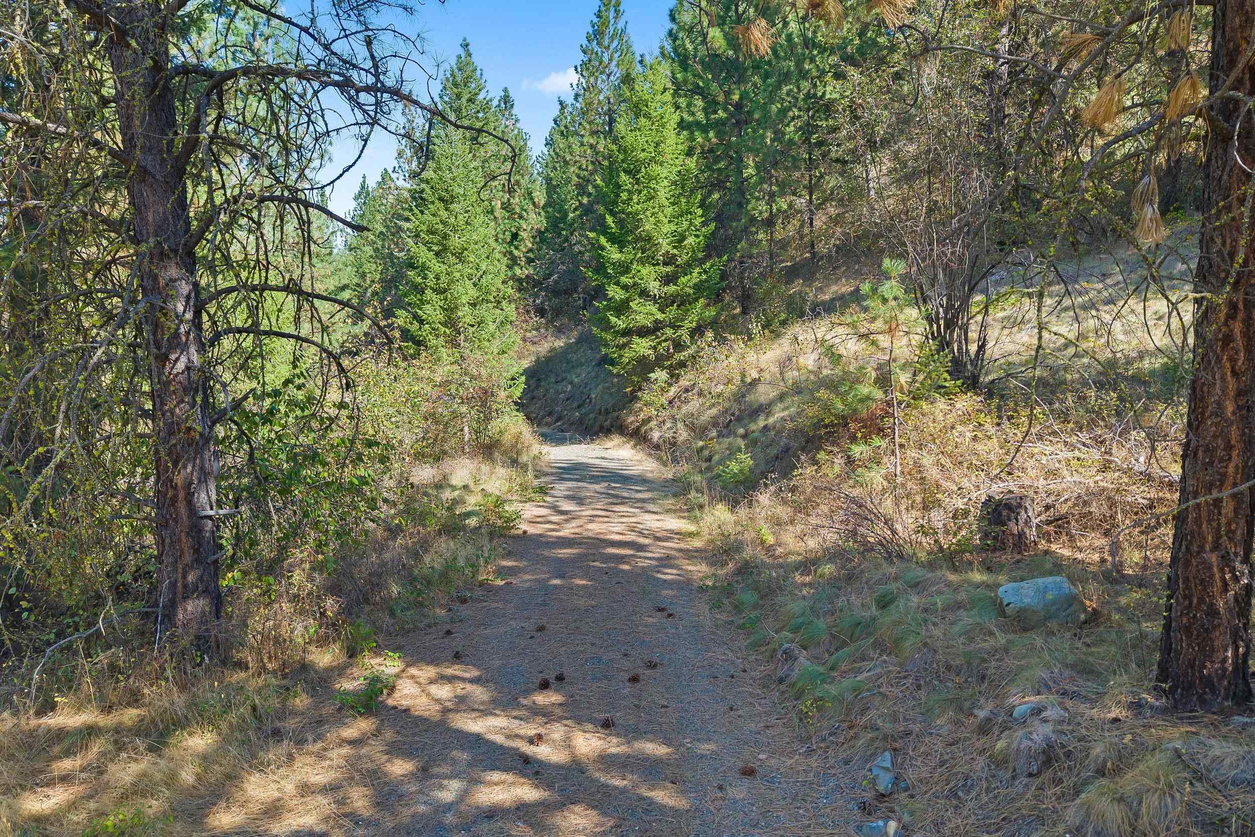 1894 Beach View Way Kettle Falls, WA 99141 - Photo 13 of 27