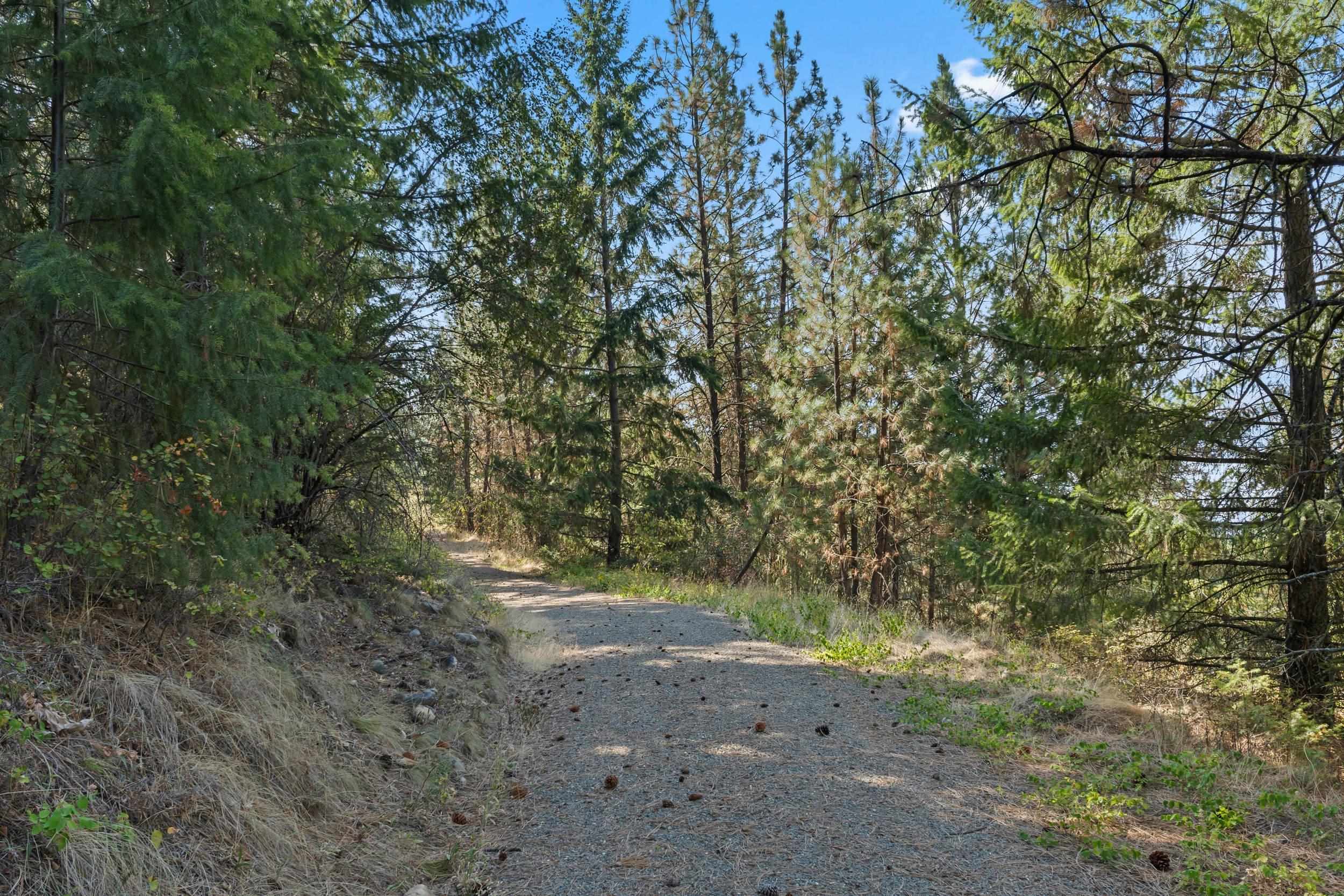 1894 Beach View Way Kettle Falls, WA 99141 - Photo 16 of 27