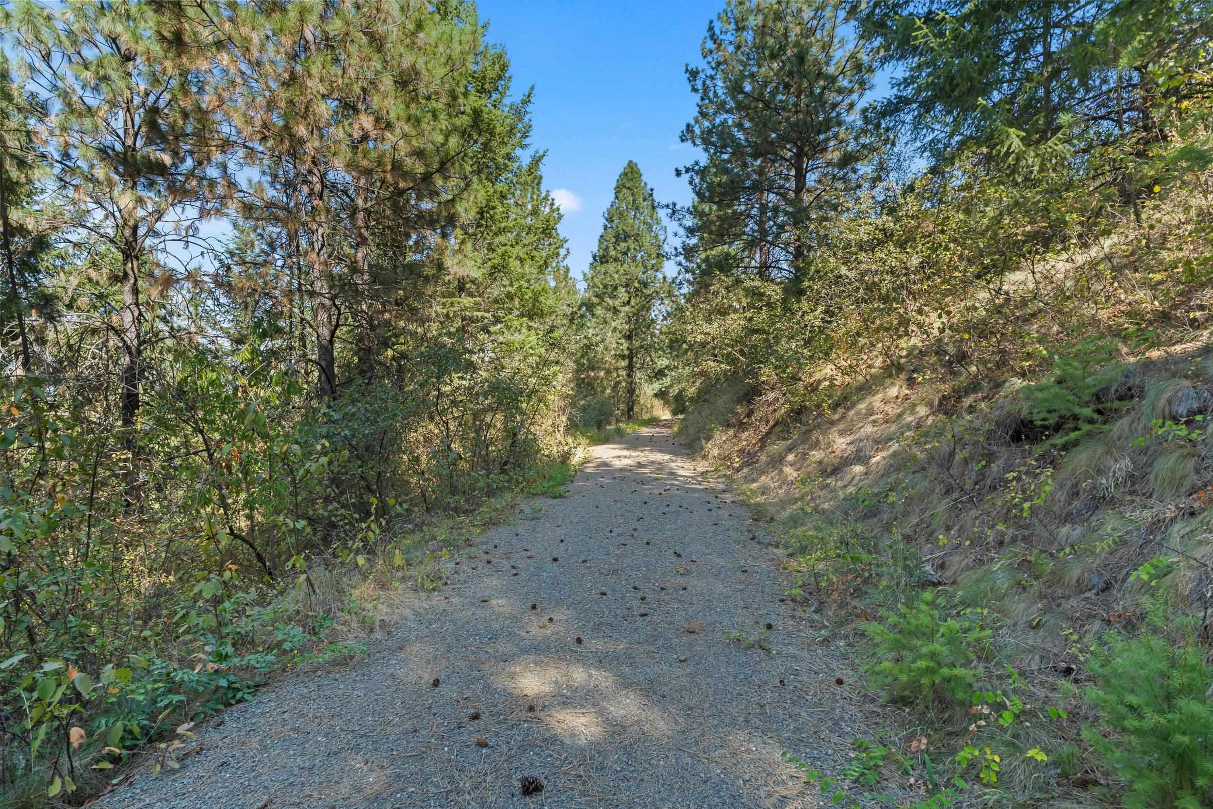 1894 Beach View Way Kettle Falls, WA 99141 - Photo 17 of 27