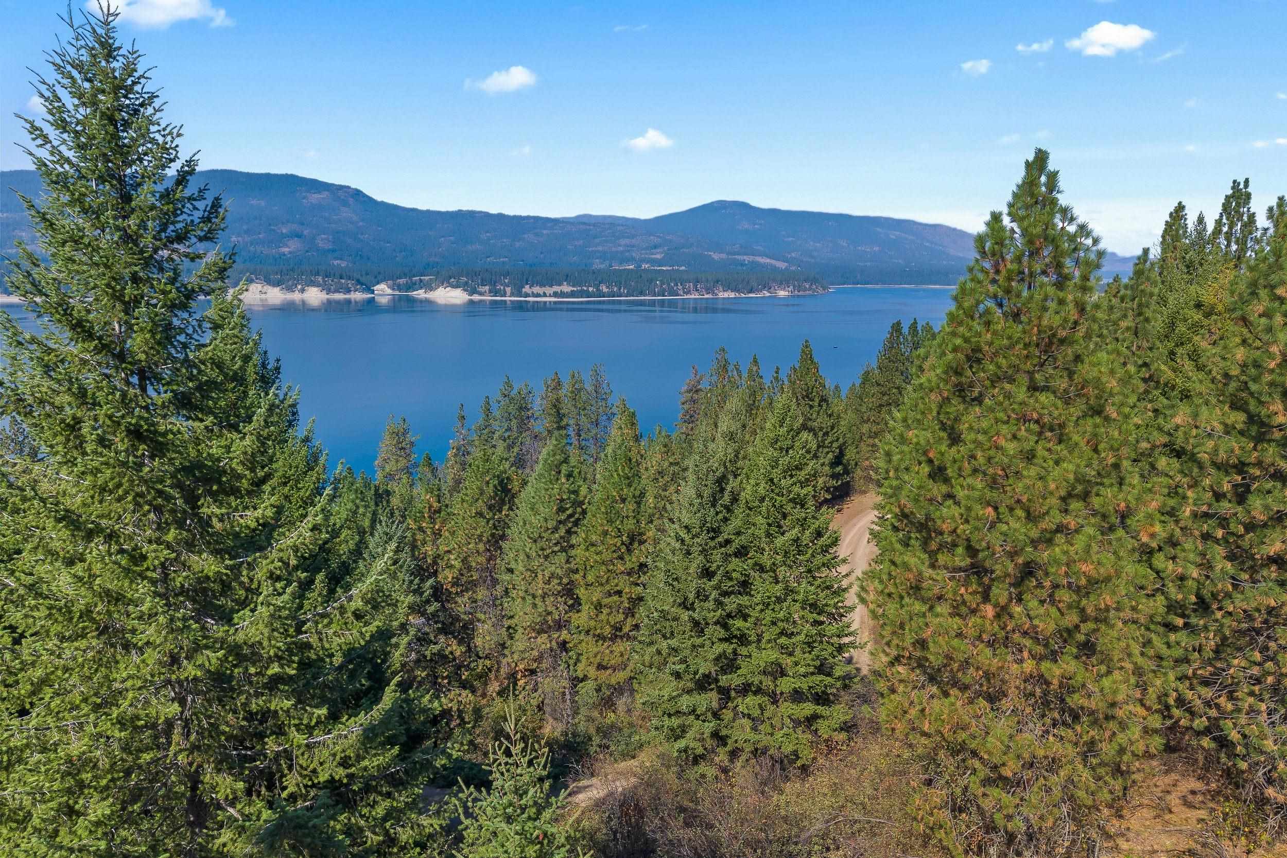 1894 Beach View Way Kettle Falls, WA 99141 - Photo 5 of 27