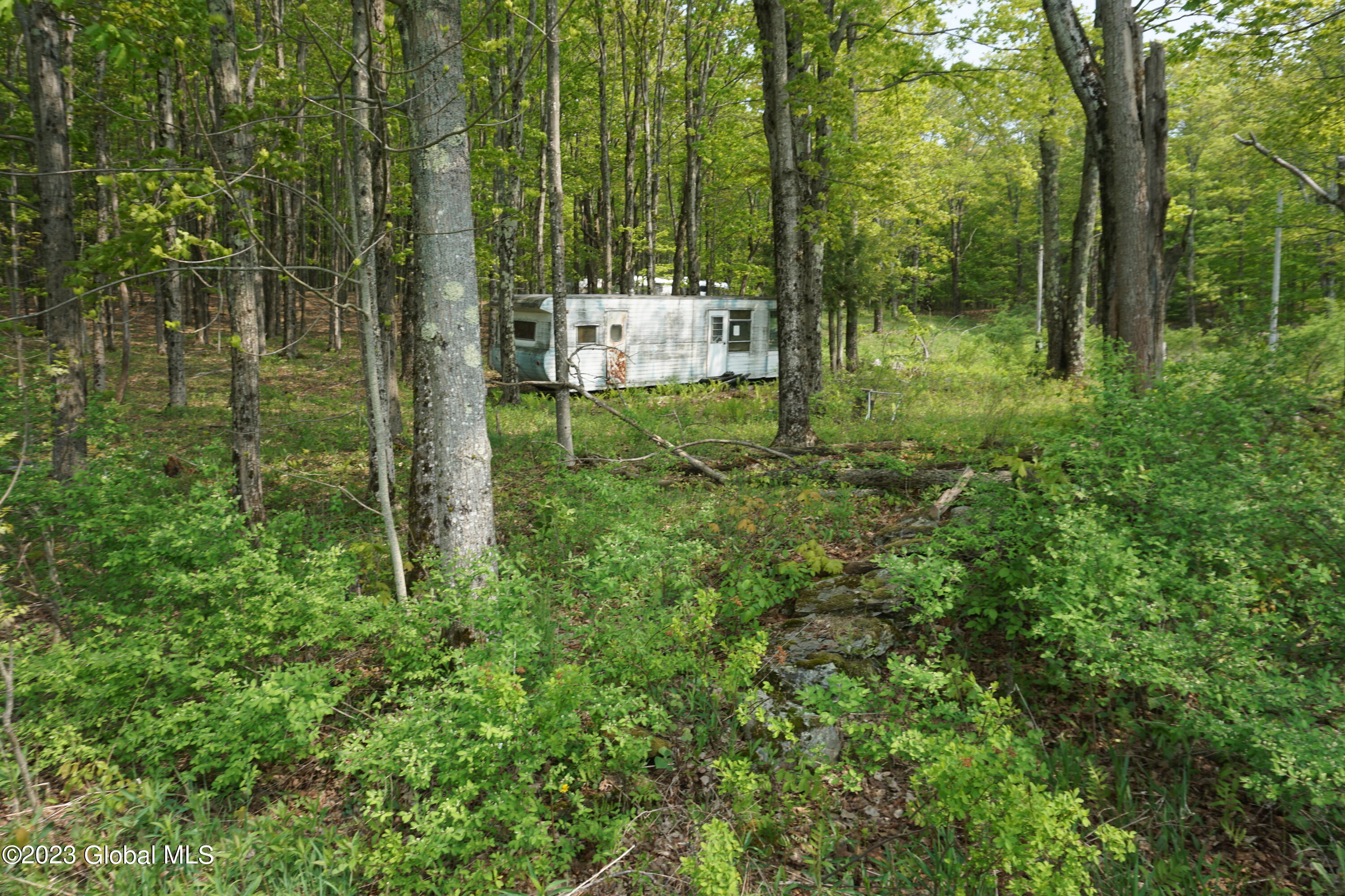 85 Thunder Hill Road Rensselaerville, NY 12147 - Photo 1 of 4 DSC02720
