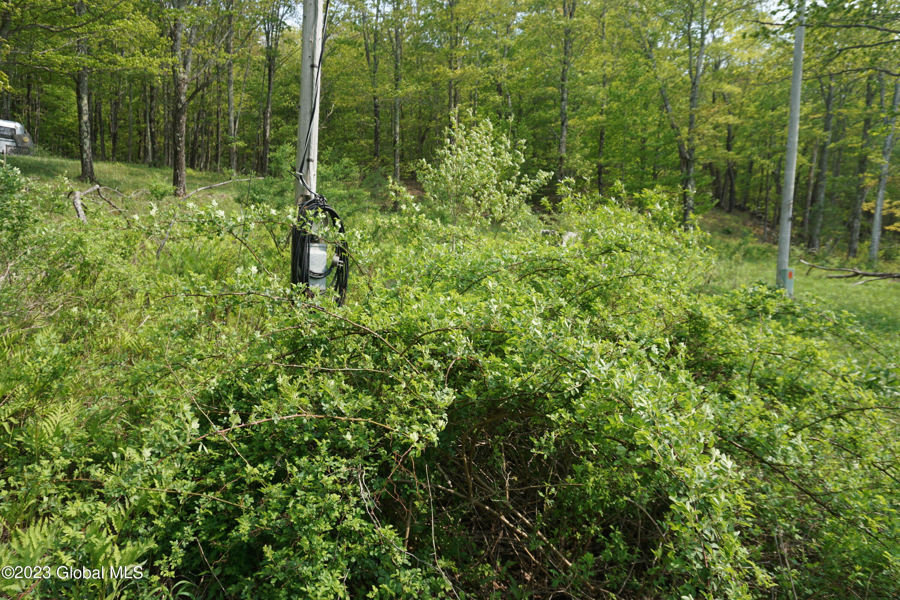 85 Thunder Hill Road Rensselaerville, NY 12147 - Photo 3 of 4 DSC02718