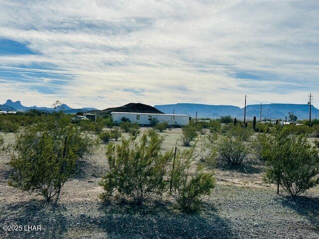 46052 East Perry Lane Salome, AZ 85348 - Photo 3 of 10 a view of a bunch of trees and bushes