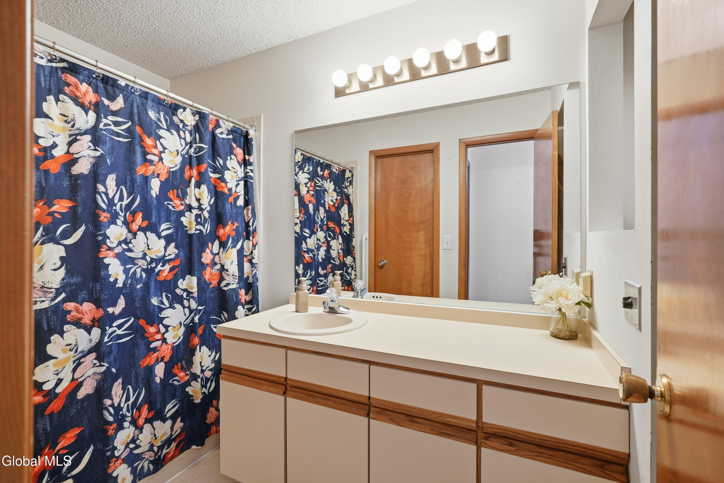 7 Lea Court Schenectady, NY 12309 - Photo 11 of 33 12