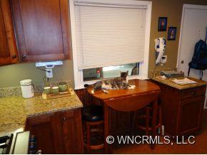 3 Maple Ridge Lane Asheville, NC 28806 - Photo 3 of 19 Gallery Image 3