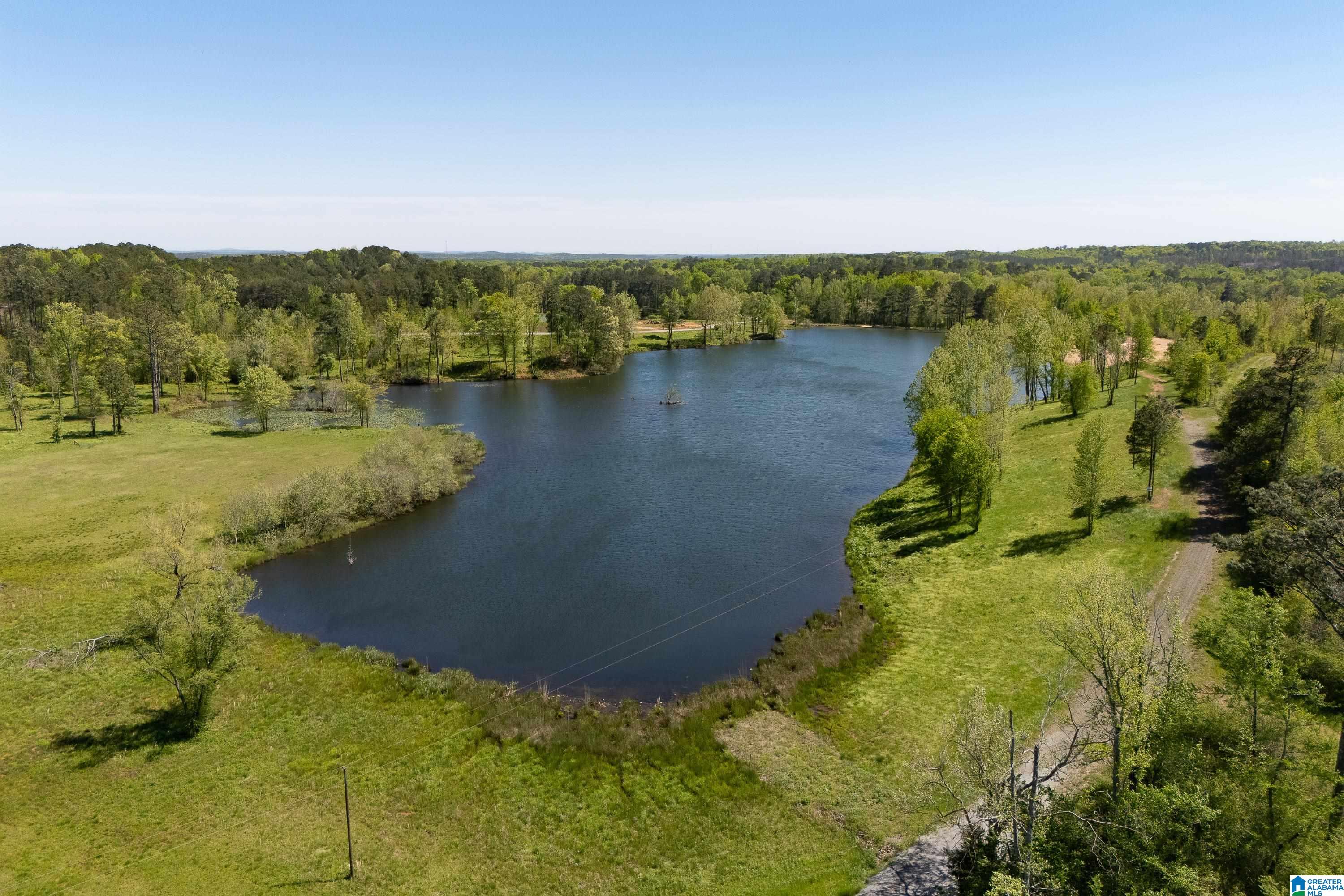 935 Shelby Lakes Ranch Way, Unit 28 Shelby, AL 35143 - Photo 4 of 37