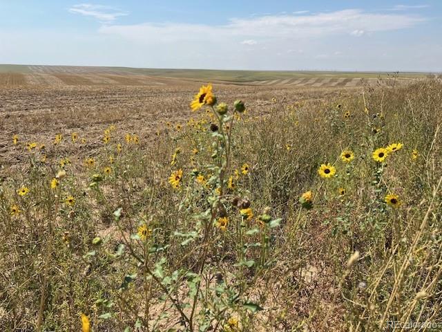 2 Tbd County Road Sterling, CO 80751 - Photo 2 of 6