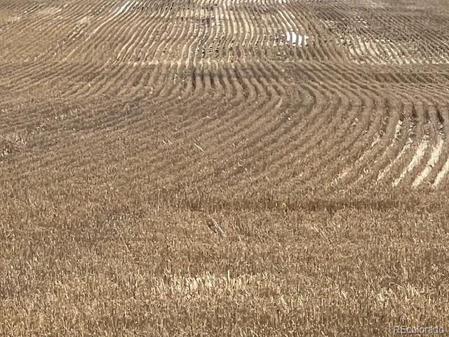 2 Tbd County Road Sterling, CO 80751 - Photo 3 of 6