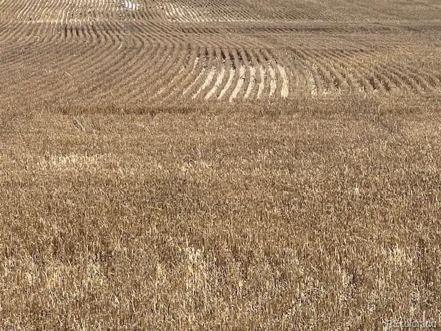 2 Tbd County Road Sterling, CO 80751 - Photo 5 of 6