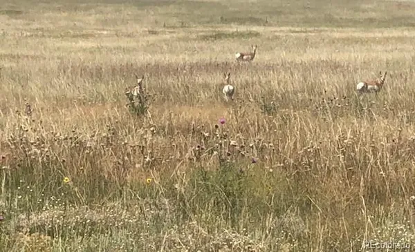 a view of a lake view