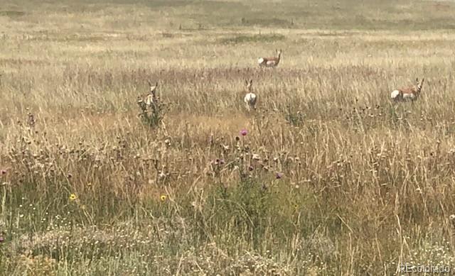 2 Tbd County Road Sterling, CO 80751 - Photo 6 of 6