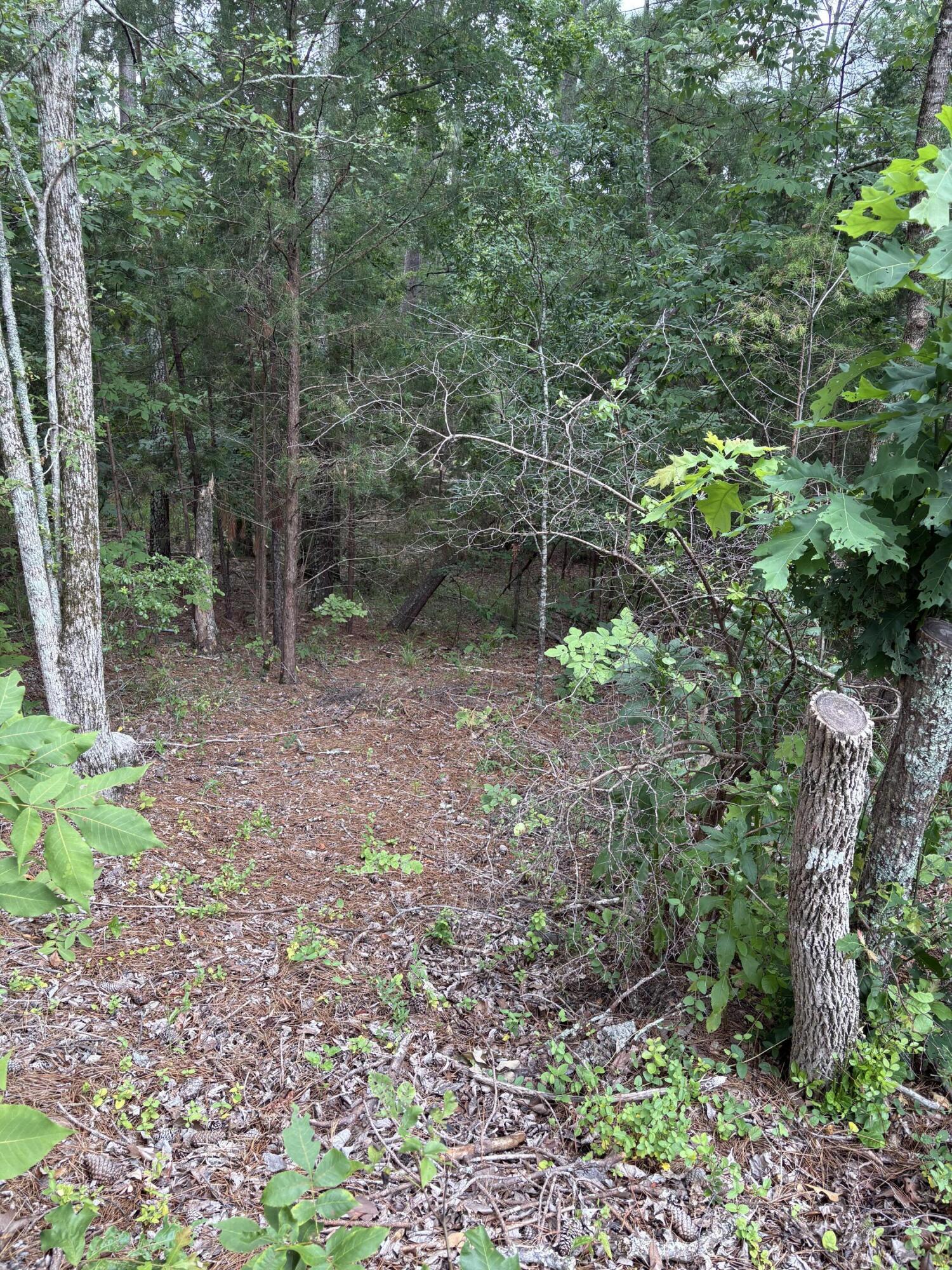 Lot 15 Overlook Point McCormick, SC 29835 - Photo 1 of 4 Image 1