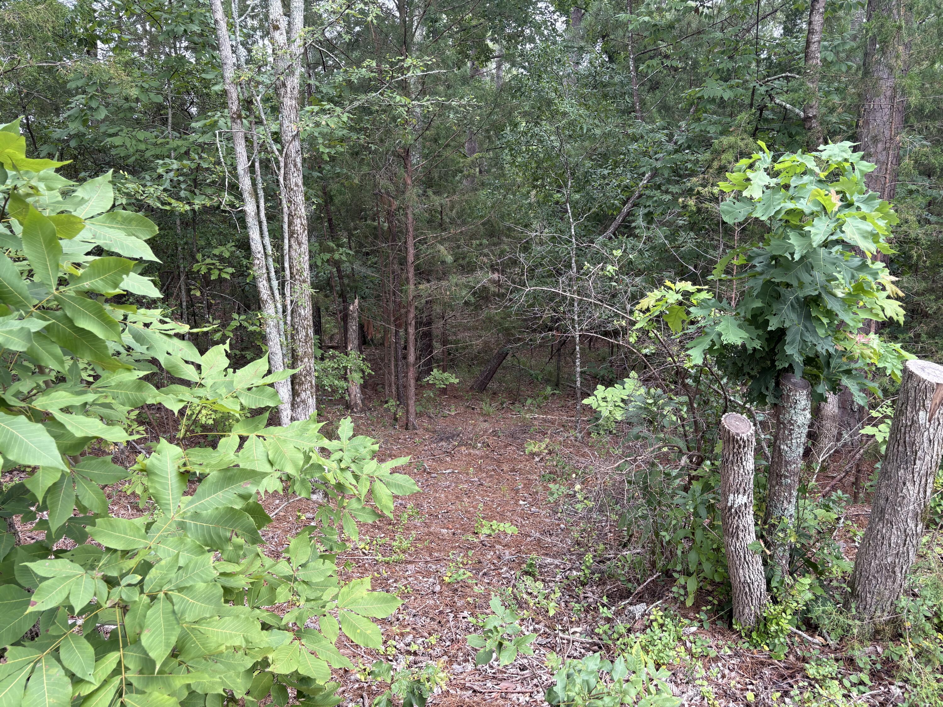Lot 15 Overlook Point McCormick, SC 29835 - Photo 2 of 4 Image 2