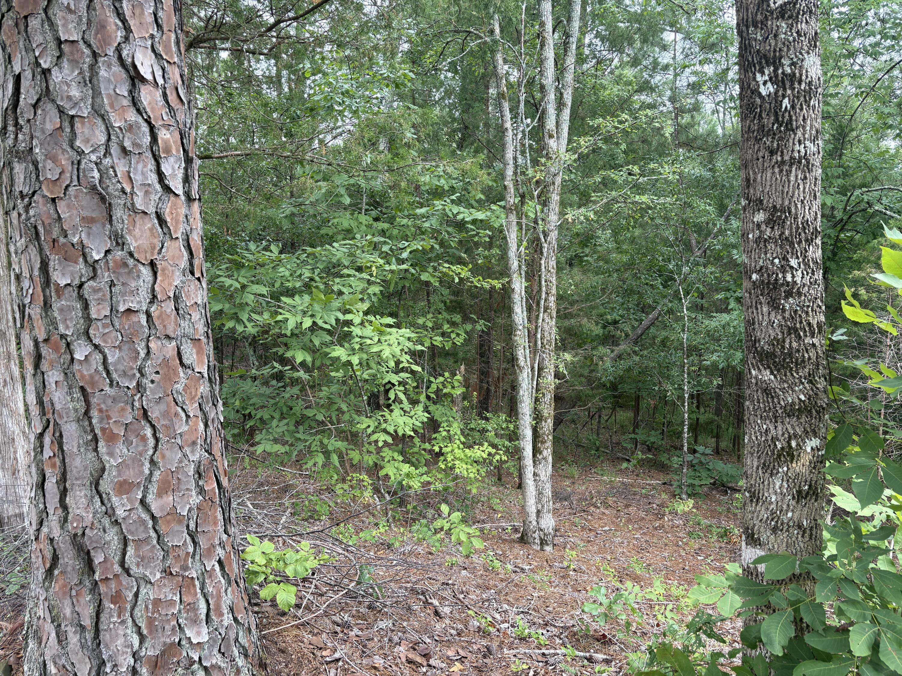Lot 15 Overlook Point McCormick, SC 29835 - Photo 3 of 4 Image 3