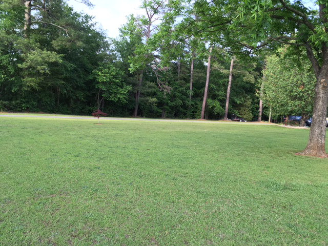 546 Chamblin Road Grovetown, GA 30813 - Photo 14 of 23 Gallery Image 14