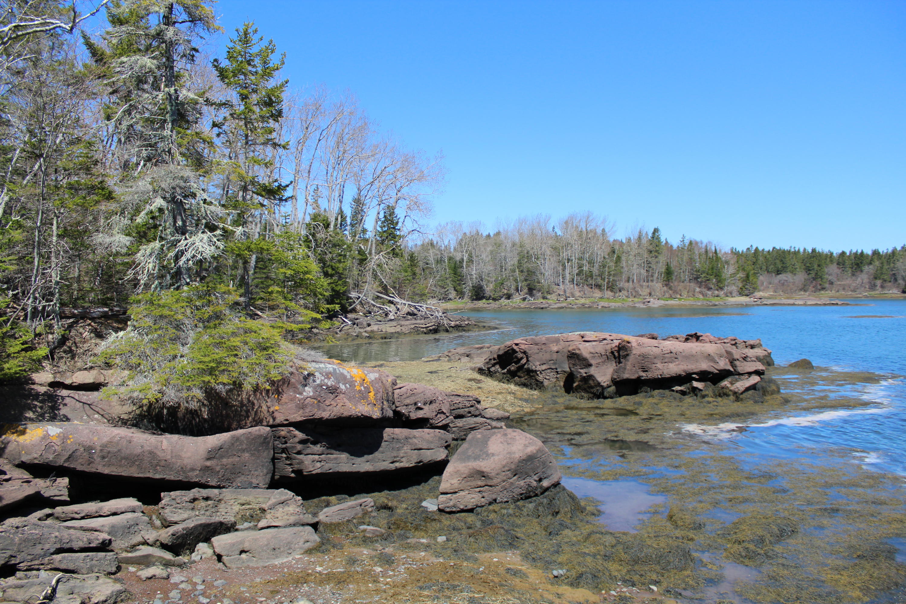 0 Old Eastport Road Perry, ME 04667 - Photo 11 of 25 IMG_3503