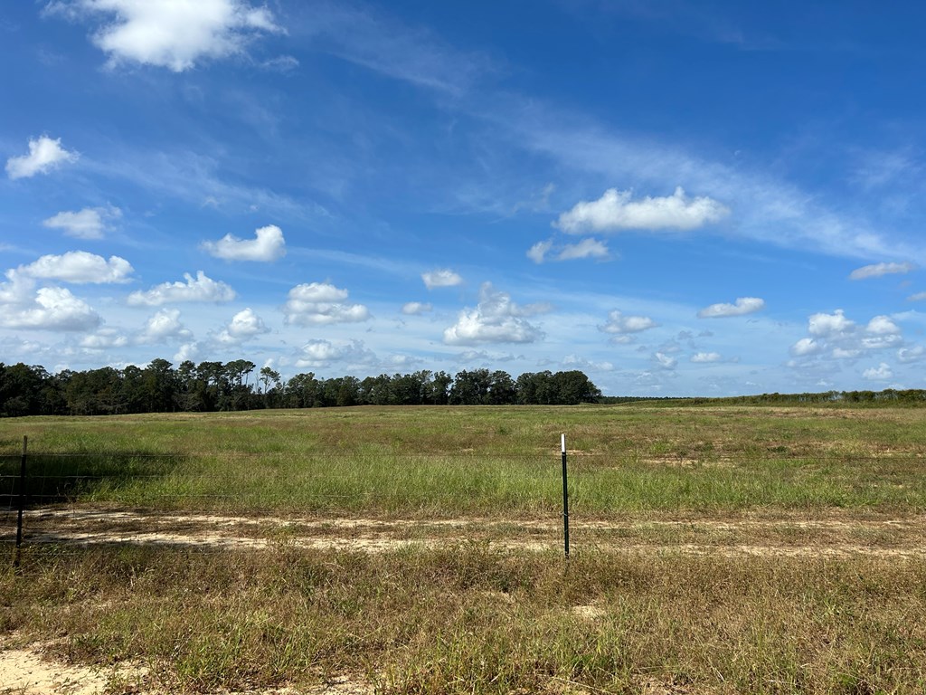 20.33-ac Sewell Road Dothan, AL 36301 - Photo 7 of 36