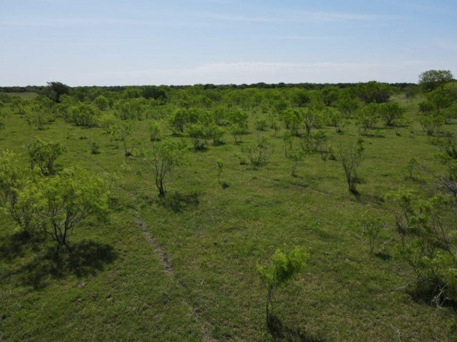 Tbd Southwest 4120 Dawson, TX 76639 - Photo 9 of 15