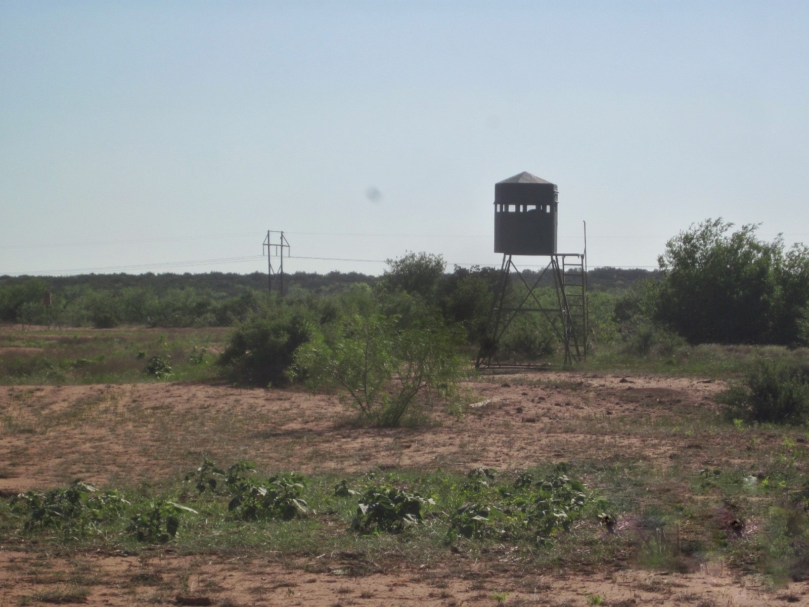 Nka Buckle L Road Childress, TX 79201 - Photo 2 of 8 Elevated deer blind overlooking a wide open pasture view.