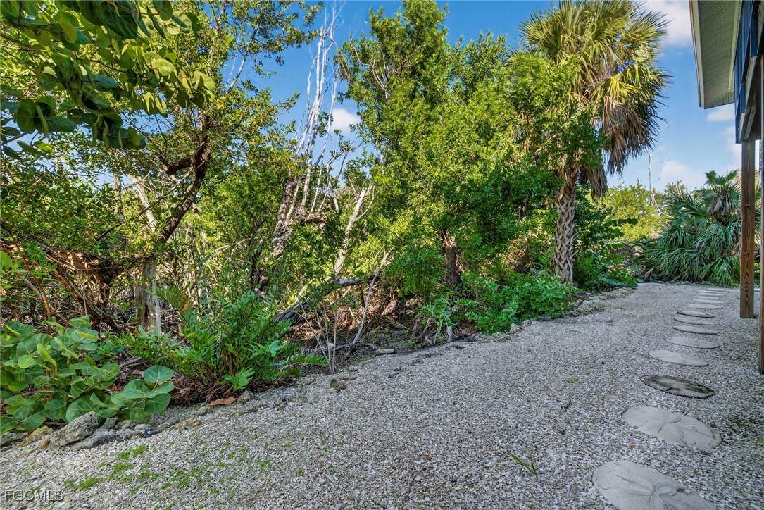 5307 Ladyfinger Lake Road Sanibel, FL 33957 - Photo 35 of 45 a view of a forest with a tree