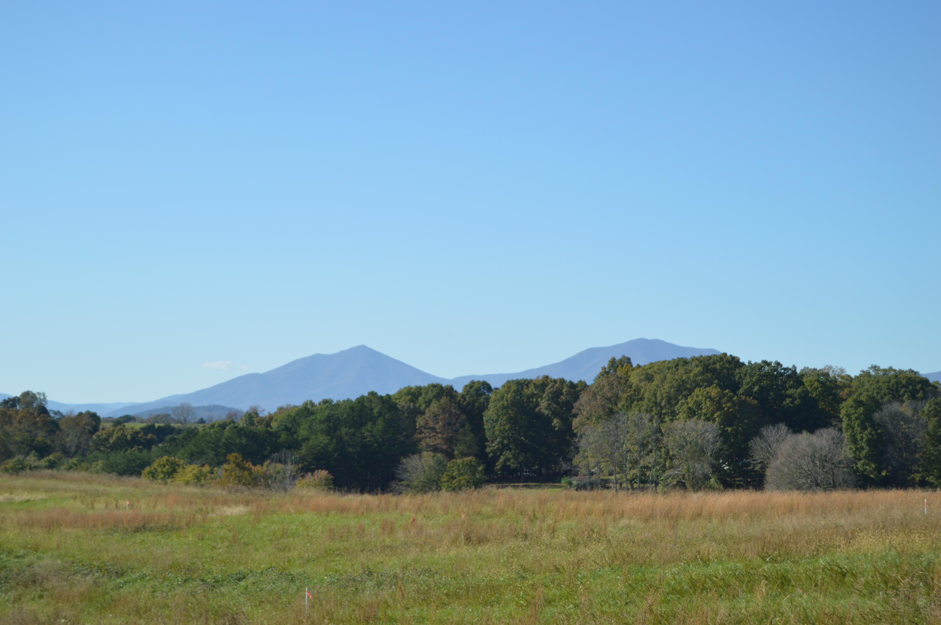 Lot 4 Goode Station