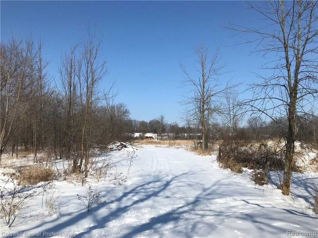 3415 Haines Road Attica, MI 48412 - Photo 64 of 92 IMG_4409.JPG