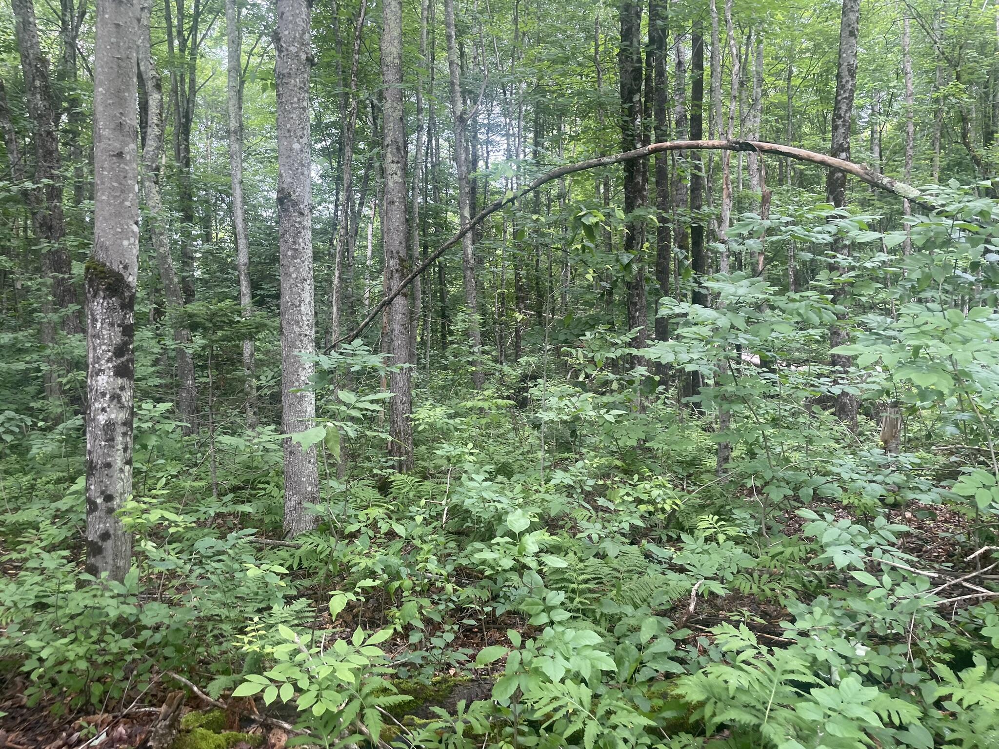 1075 Hill Road Clinton, ME 04927 - Photo 123 of 172 IMG_6221
