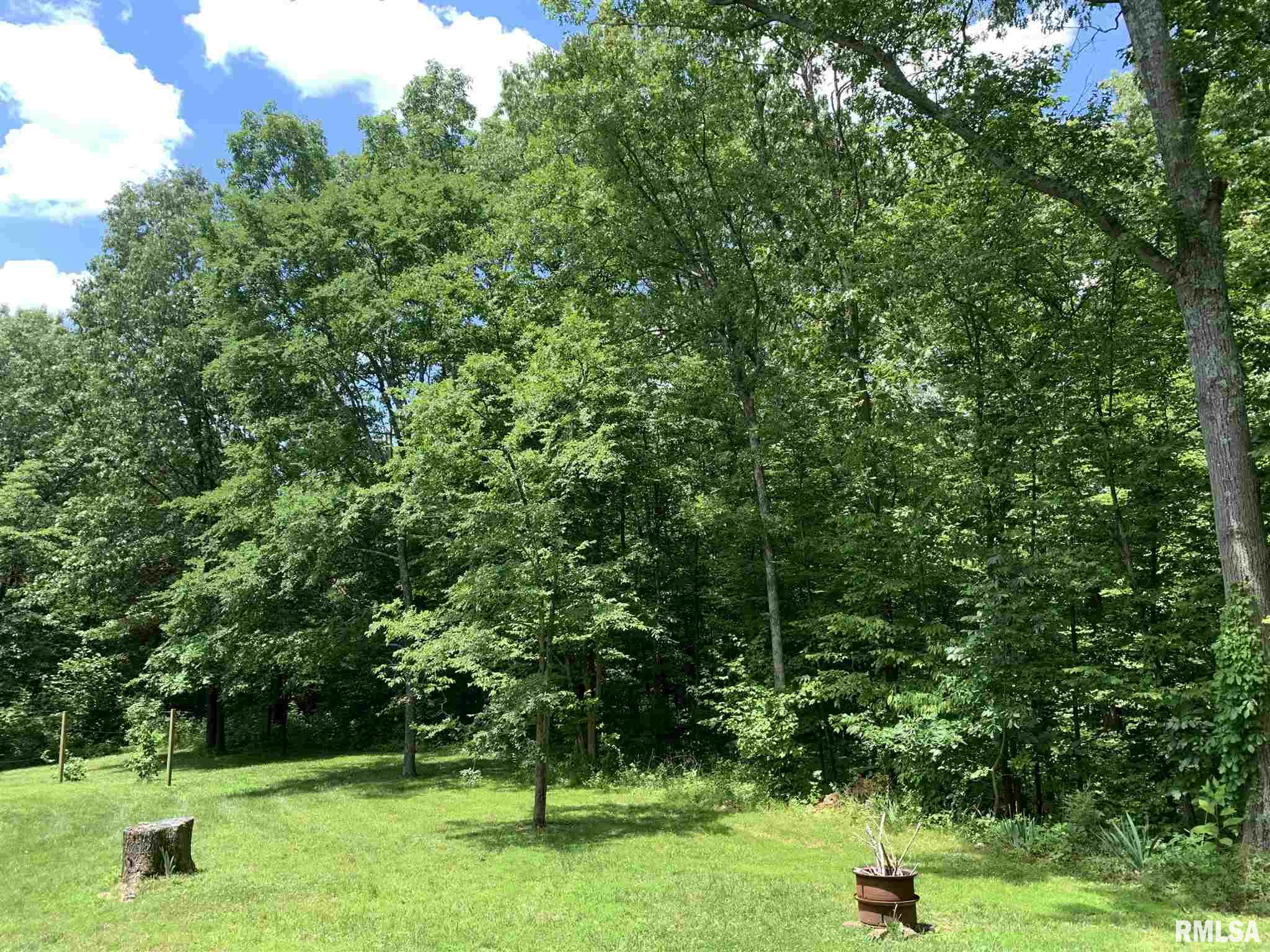 165 North County Line Road Cobden, IL 62920 - Photo 23 of 48 Gallery Image 23