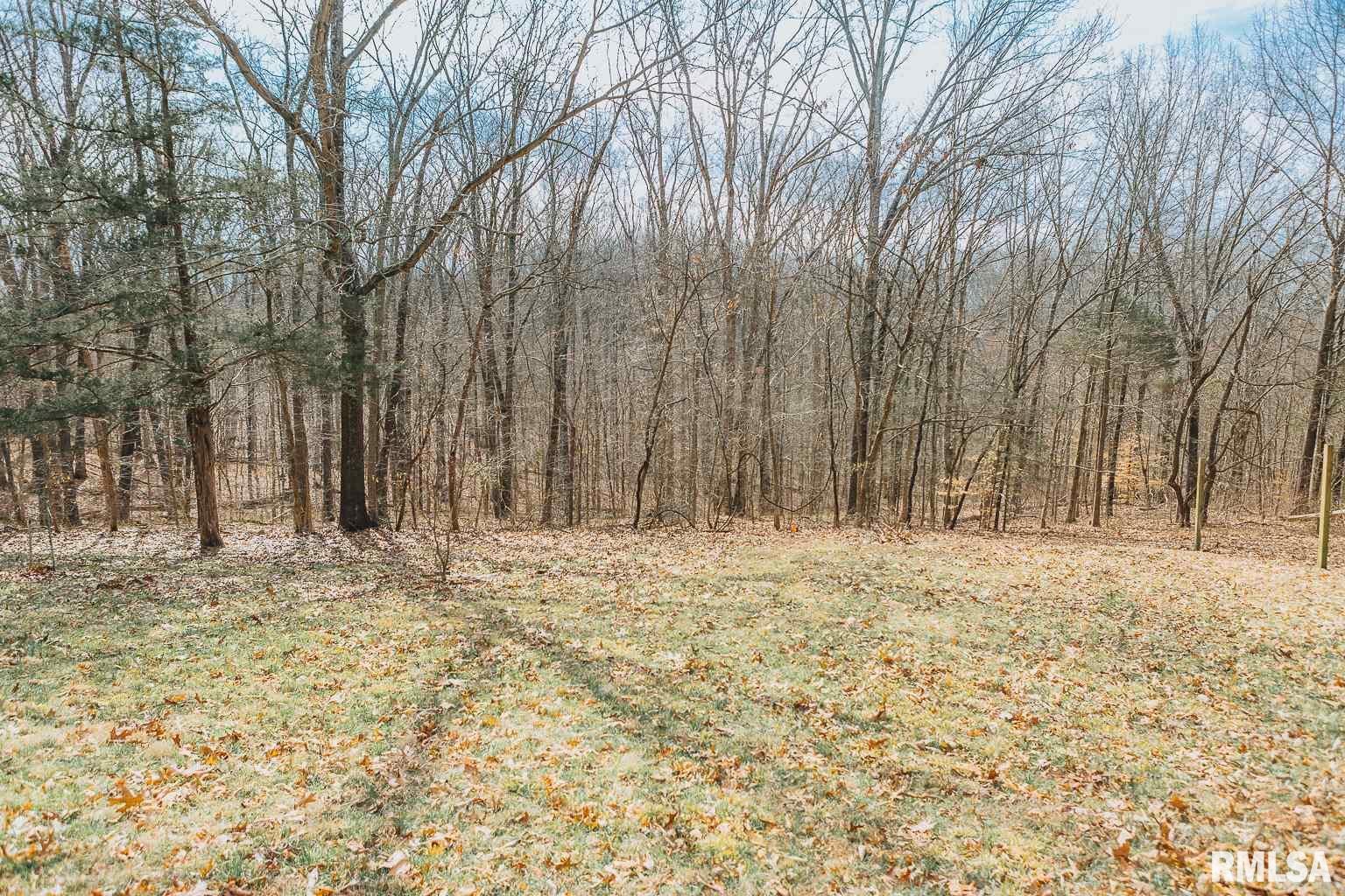 165 North County Line Road Cobden, IL 62920 - Photo 44 of 48 Gallery Image 44