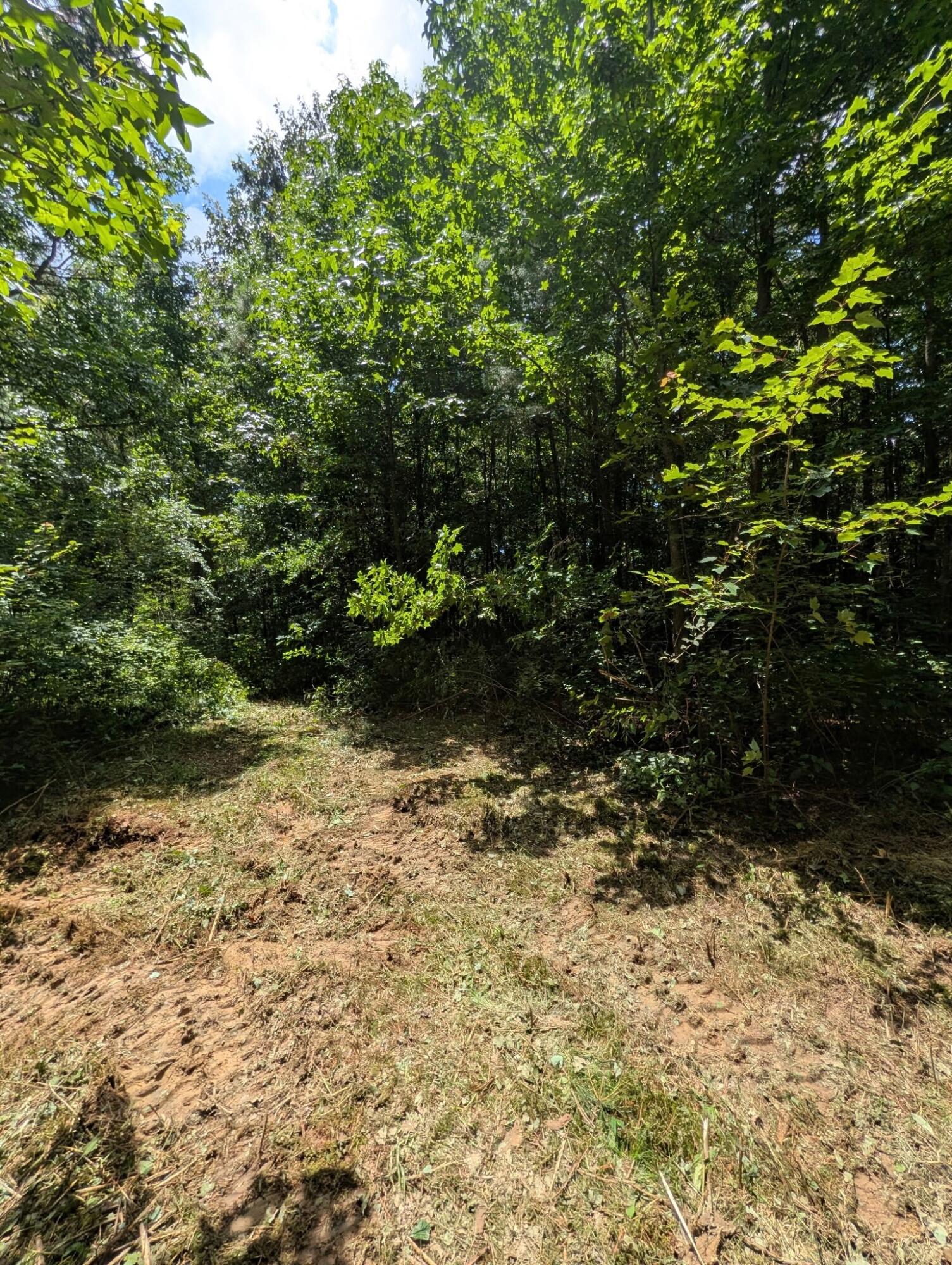 1670 Samples Chapel Road Southeast Old Fort, TN 37362 - Photo 7 of 16 8088504164984022199