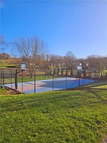 a view of a garden and mountains