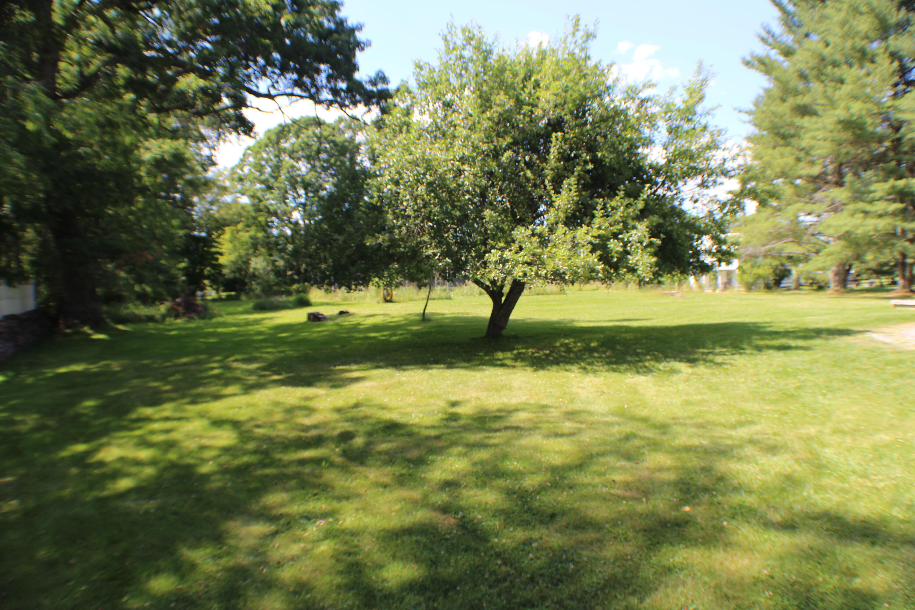 79 Hannah Run Road Arbovale, WV 24915 - Photo 21 of 42 Gallery Image 21