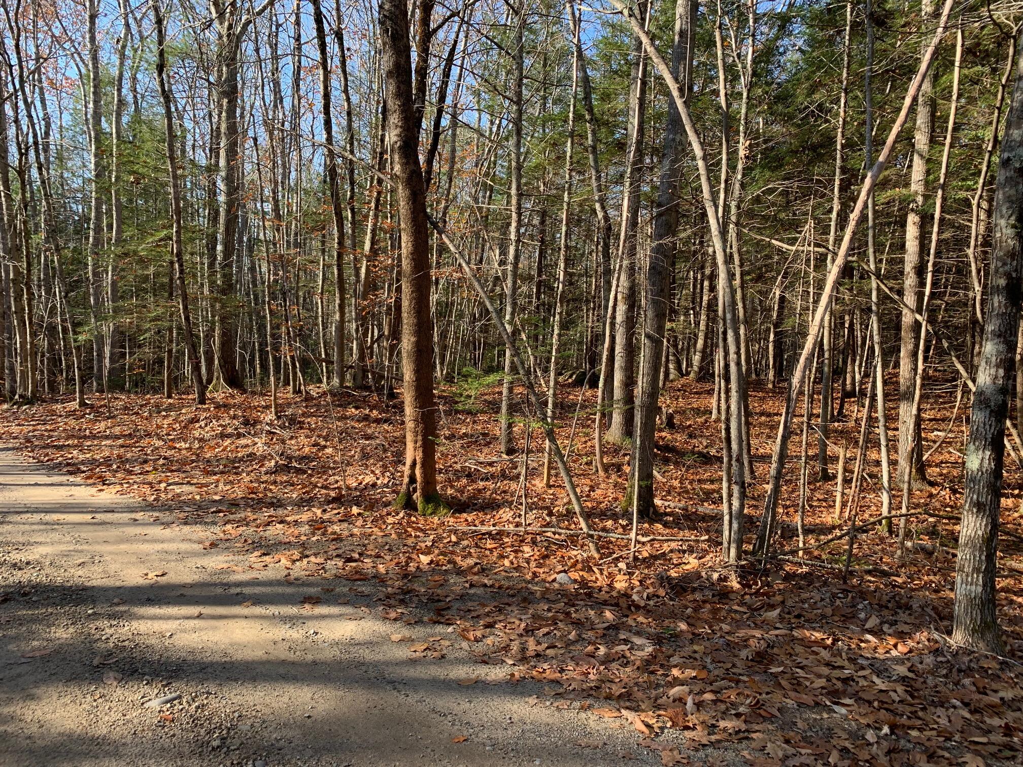 Lot 18 Old Cluff Road Kennebunkport, ME 04046 - Photo 1 of 7 IMG_1778