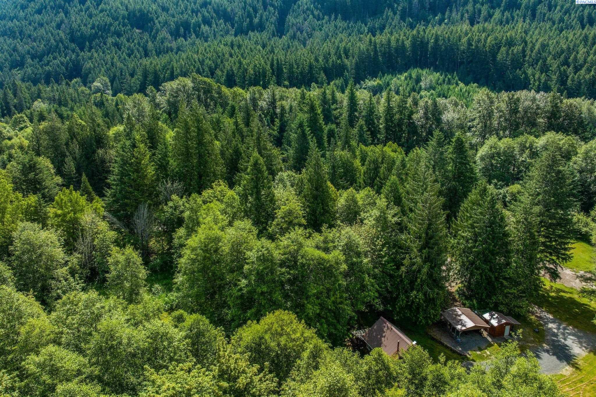 117 Cedar Grove Road Randle, WA 98377 - Photo 47 of 49 Gallery Image 47