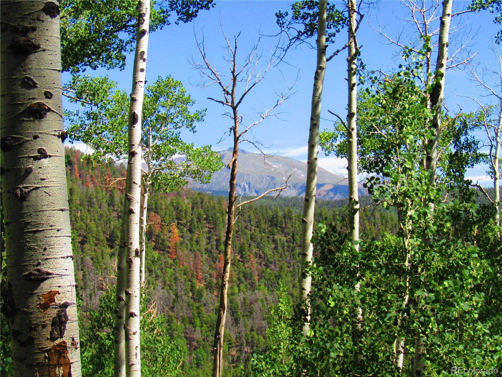 Lot 6295 Malcolm Road San Luis, CO 81152 - Photo 28 of 31